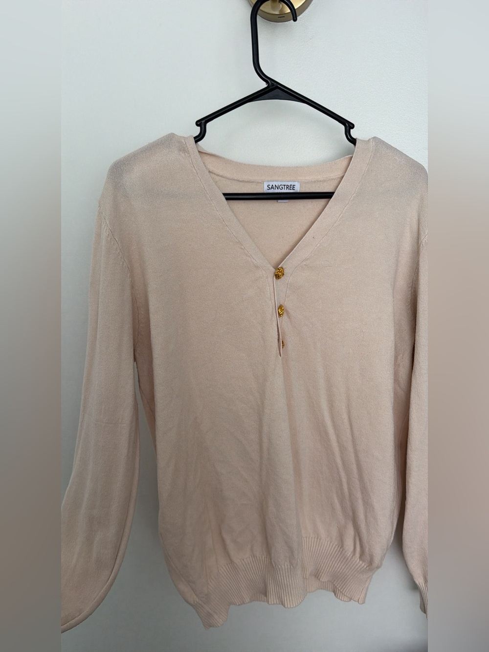 Amazon Women's Long Sleeve V-Neck Top in Light Pink